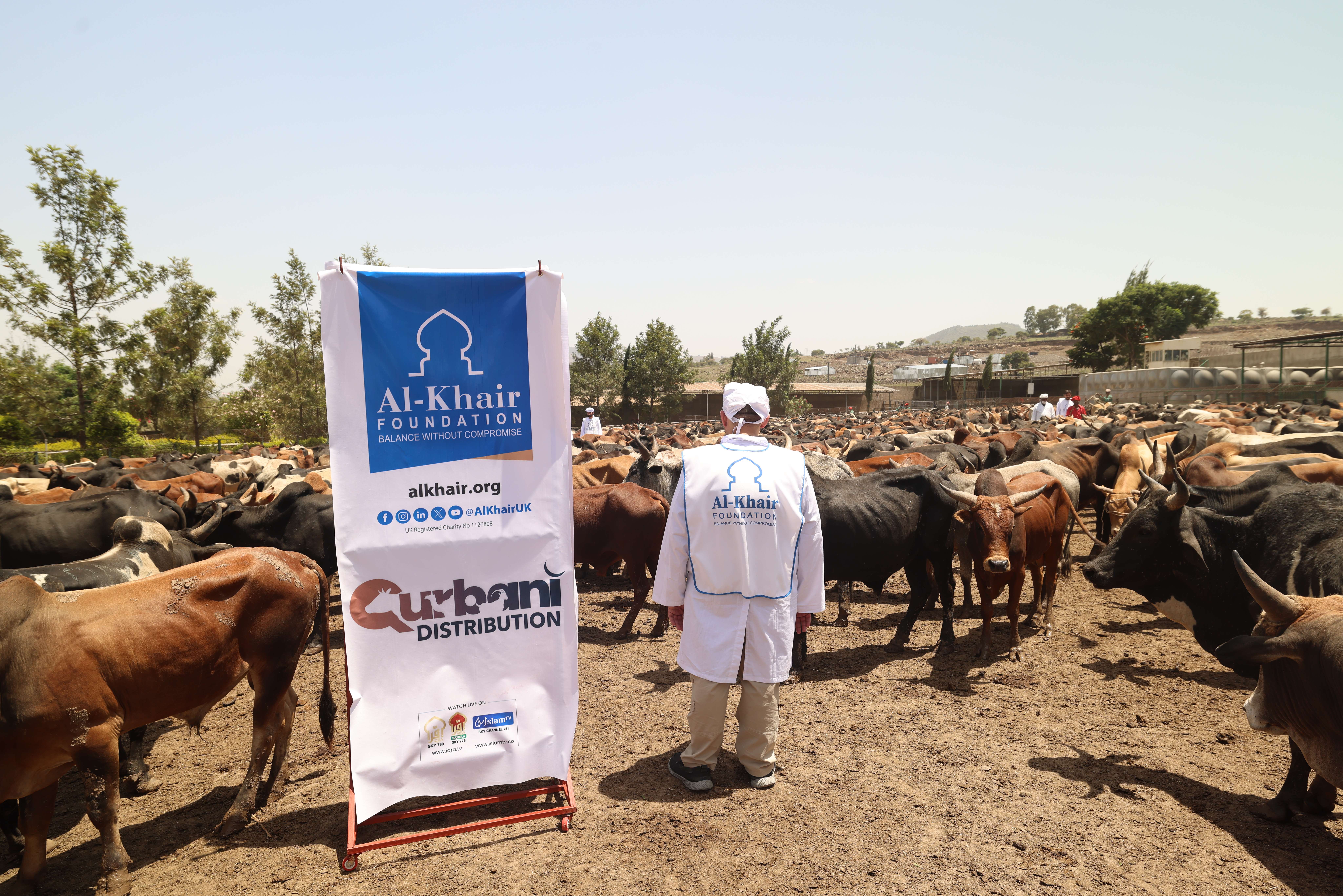 من كل أضحية.. حكاية كرامة تُحفظ