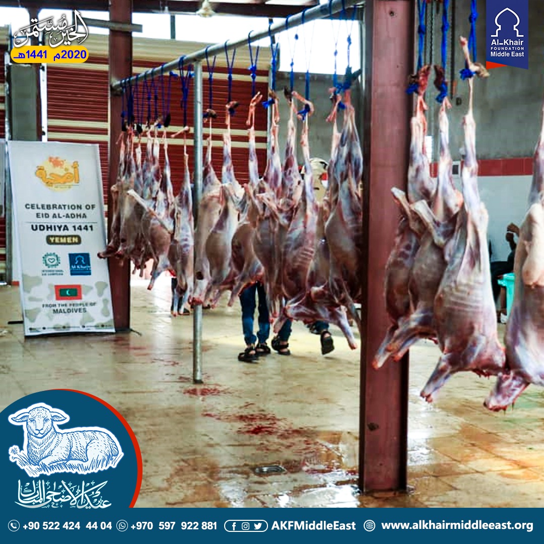 الخير تختتم مشروع الأضاحي في منطقة الشرق الأوسط