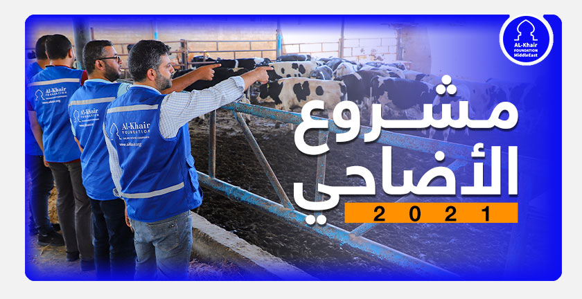 مؤسسة الخير تبدأ تنفيذ مشروع الأضاحي للعام 2021