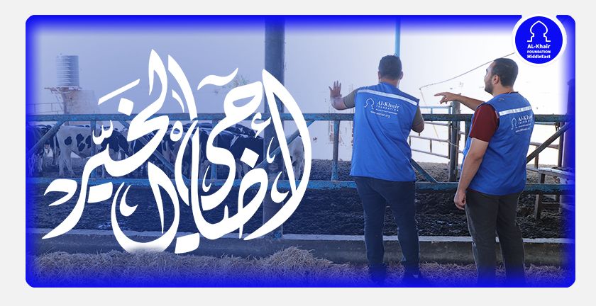 الخير تستعد لتنفيذ موسم الأضاحي في دول الشرق الأوسط