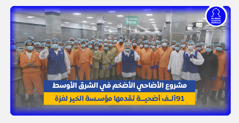 مشروع الأضاحي الأضخم في الشرق الأوسط.. 91ألف أضحية تقدمها مؤسسة الخير لغزة